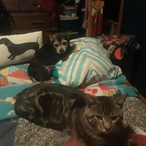 Meet your Posher, Heather